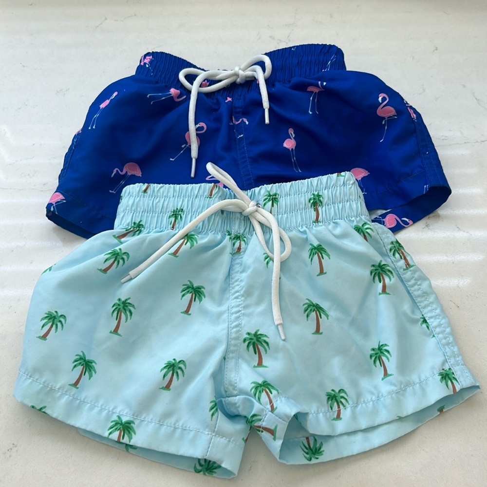 Lot of 2 Binky Bro swim trunks